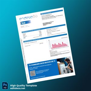 Argentina Endesa Energ A S A Editable Utility Bill Template in Word and PDF formats