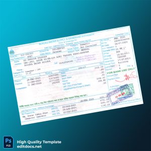 Bangladesh Bogra Sadar Editable Utility Bill Template in Word and PDF formats