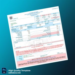 Bangladesh Dhaka Power Distribution Company Editable Utility Bill Template in Word and PDF formats