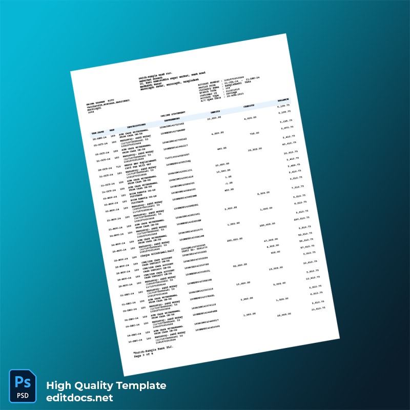 Bangladesh Dutch-Bangla Bank PLC Bank Statement Template in Word and PDF formats page 3