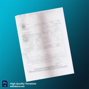 Bangladesh Rupali Bank Editable Utility Bill Template in Word and PDF formats