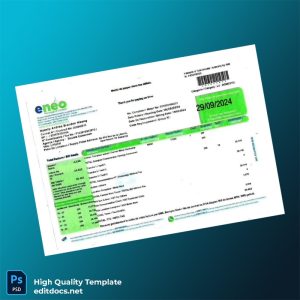 Cameroon Portes S A Editable Utility Bill Template in Word and PDF formats