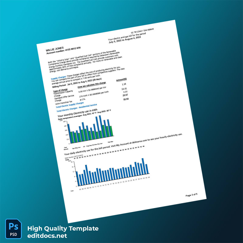 Delaware Power Company Editable Utility Bill Template in Word and PDF formats page 3