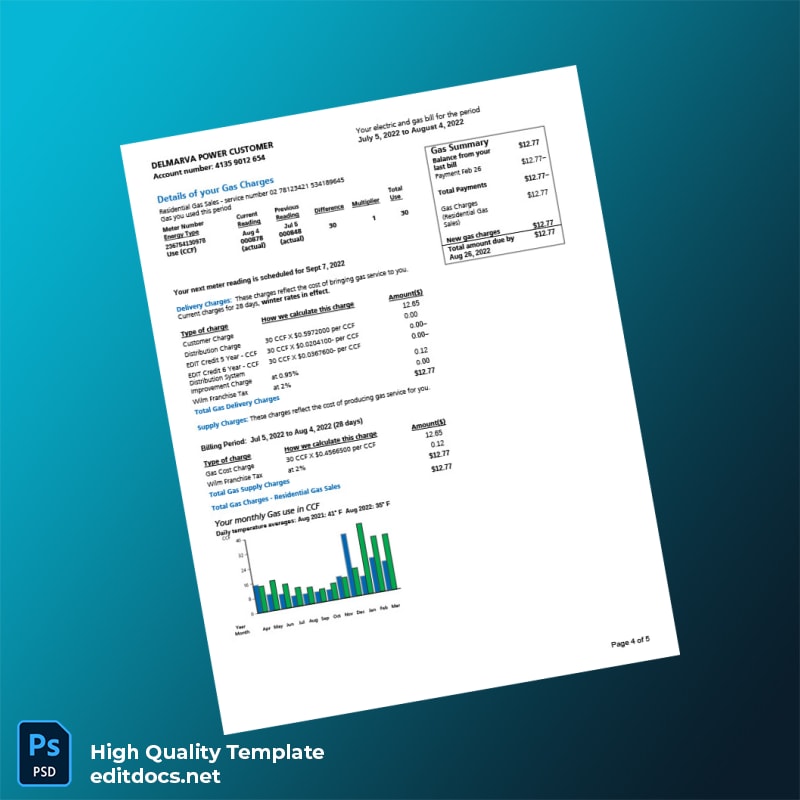Delaware Power Company Editable Utility Bill Template in Word and PDF formats page 4