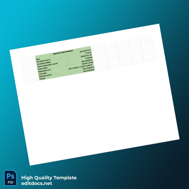 Desso Editable Utility Bill Template in Word and PDF formats page 2