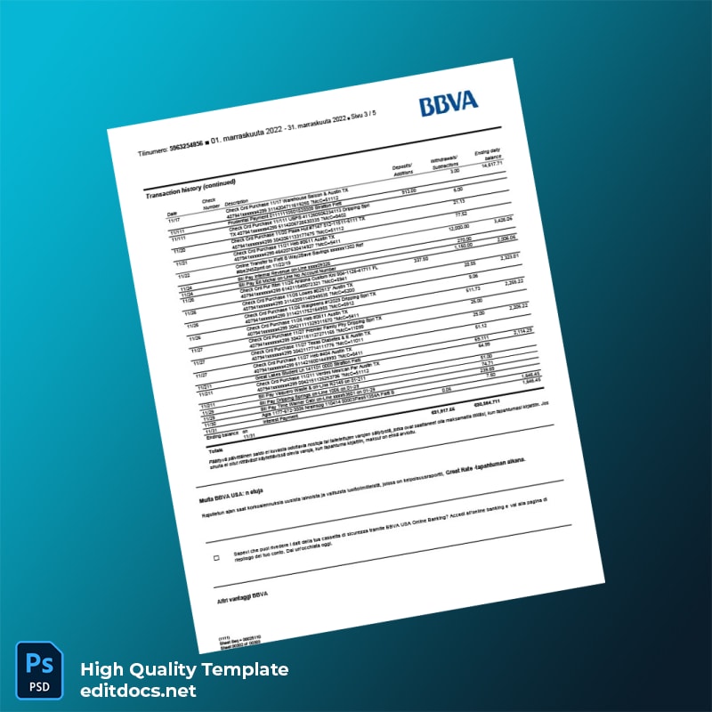 Finland BBVA Bank Statement Template in Word and PDF formats page 3