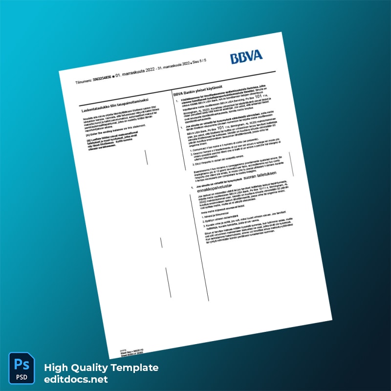 Finland BBVA Bank Statement Template in Word and PDF formats page 5