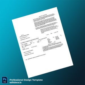 Editable Florida Department of Highway Safety Vehicle Registration Certificate Template (Word&PDF) Page Preview - EditDocs