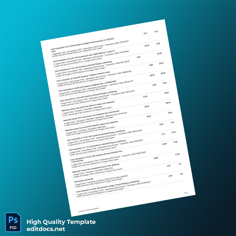 Germany Prank Bank Statement Template in Word and PDF formats page 3