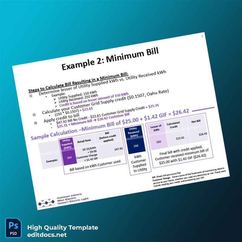 Hawaiian Electric Editable Utility Bill Template in Word and PDF formats page 3