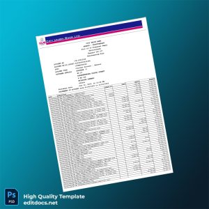 India City Union Bank Editable Bank Statement Template in Word and PDF formats