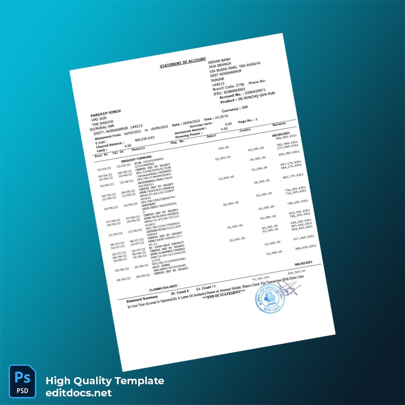 India Indian Bank Bank Statement Template in Word and PDF formats