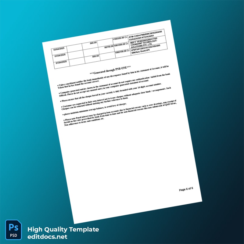 India Punjab National Bank Statement Template in Word and PDF formats page 6