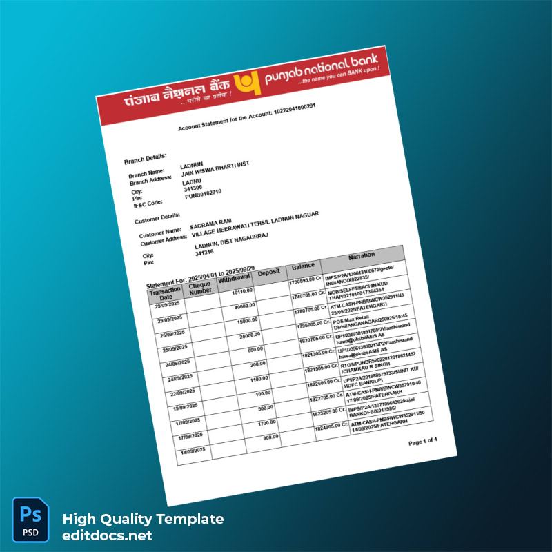 India Punjab National Bank Statement Template in Word and PDF formats