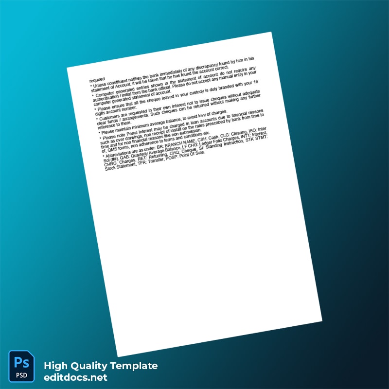 India Punjan Bank Statement Template in Word and PDF formats page 2