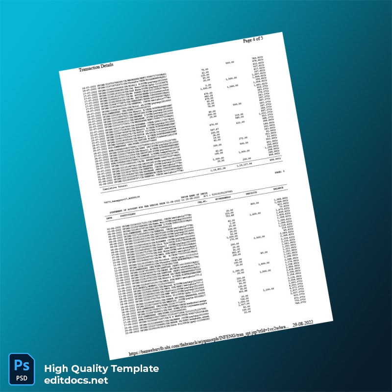 India Union Bank of India Bank Statement Template in Word and PDF formats page 4