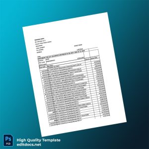 India Visa Inc Bank Statement Template in Word and PDF formats