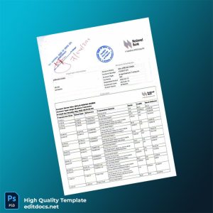 Kenya National Bank Account Statement Template in Word and PDF formats