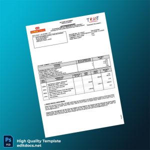Malaysia AmBank E-Statement Template in Word and PDF formats