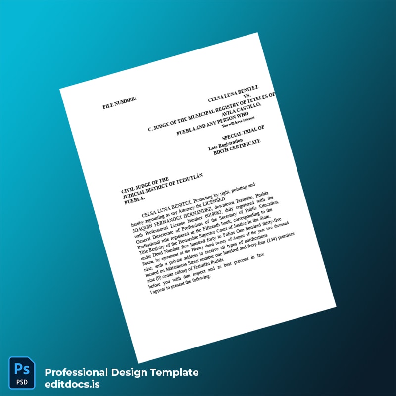 Editable Mexico Municipal Registry Late Registration Petition for Birth Certificate Template (Word&PDF) Page Preview - EditDocs