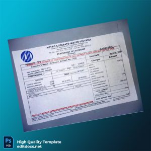 NATIONAL POWER CORPORATION Editable Utility Bill Template in Word and PDF formats