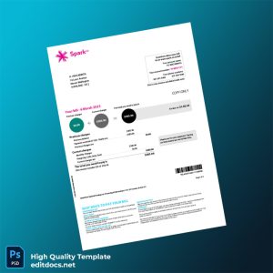 New Zealand Spark New Zealand Trading Ltd Editable Billing Summary Template in Word and PDF formats