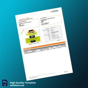 Nigeria Access Bank Statement Template in Word and PDF formats