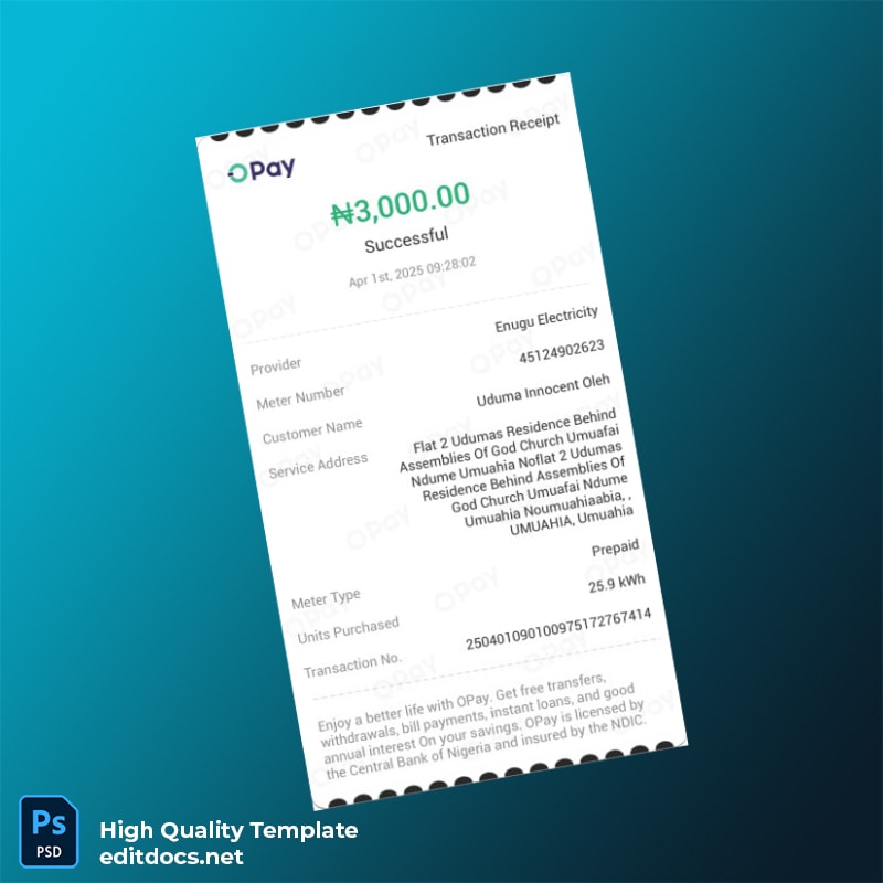 Nigeria OPay Editable Utility Bill Template in Word and PDF formats