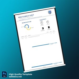 Nigeria Stanbic IBTC Bank Statement Template in Word and PDF formats