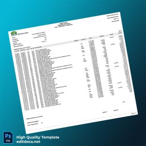 Pakistan MCB Bank Limited Bank Statement Template in Word and PDF formats