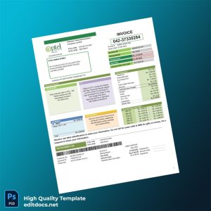 Pakistan PTCL Editable Utility Bill Template in Word and PDF formats