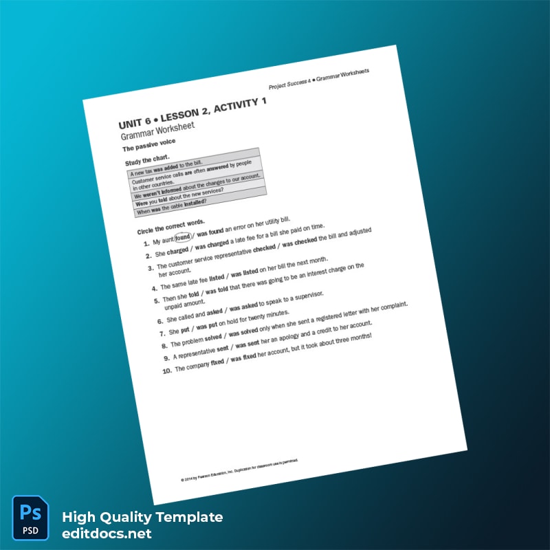 Pearson Education Inc Editable Grammar Worksheet Template in Word and PDF formats