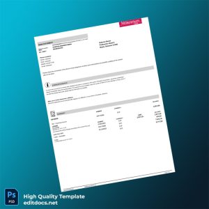 Poland Millenium Bank Statement Template in Word and PDF formats
