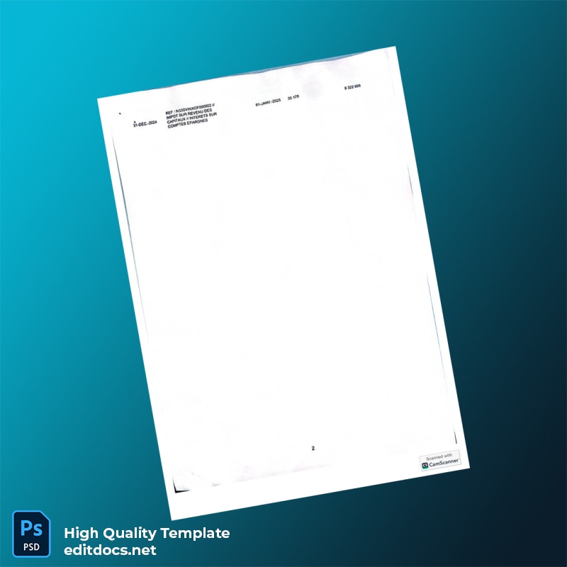 Senegal Bank Statement Template in Word and PDF formats page 2