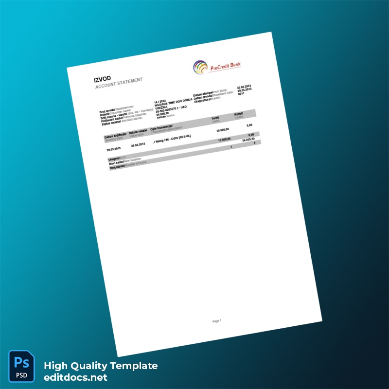 Serbia Wizards Time DOO Bank Statement Template in Word and PDF formats