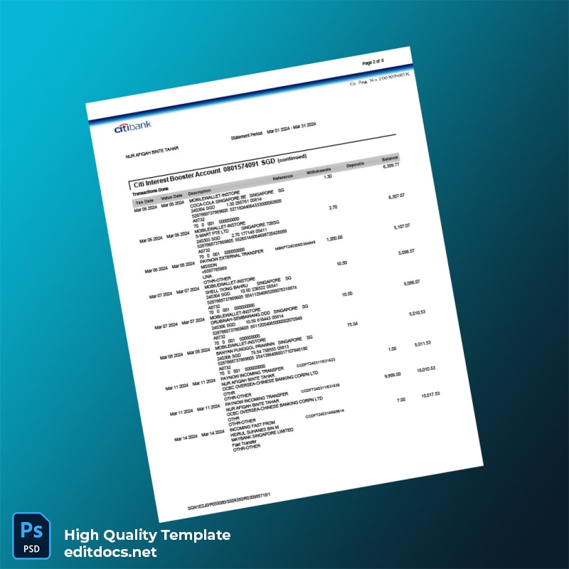Singapore Citi Bank Statement Template in Word and PDF formats page 2