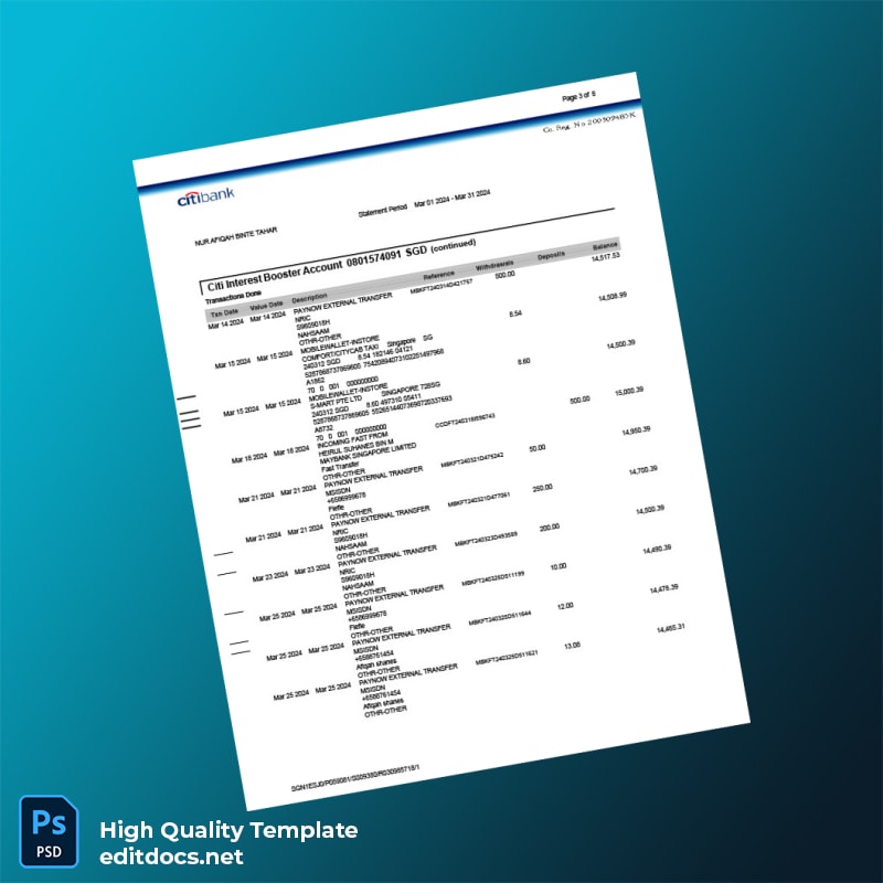 Singapore Citi Bank Statement Template in Word and PDF formats page 3