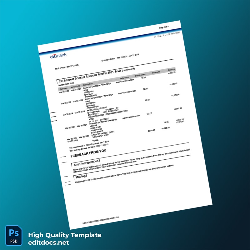 Singapore Citi Bank Statement Template in Word and PDF formats page 5