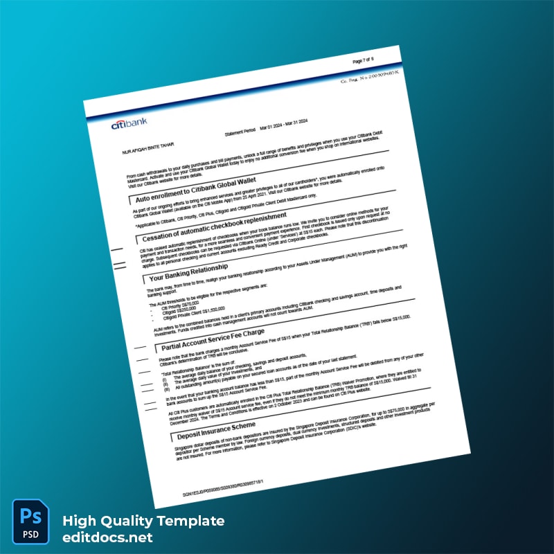 Singapore Citi Bank Statement Template in Word and PDF formats page 7