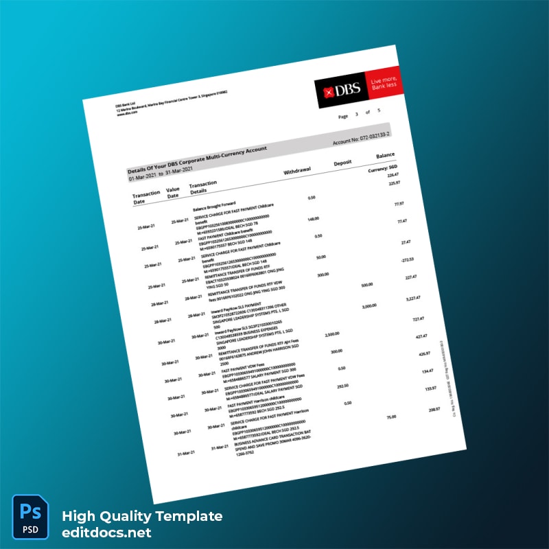Singapore DBS Account Statement Template in Word and PDF formats page 3