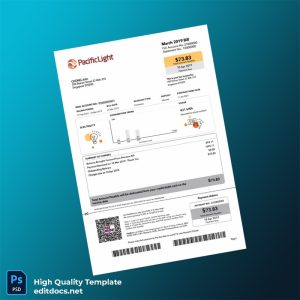 Singapore PacificLight Energy Pte Ltd Editable Electricity Bill Template in Word and PDF formats