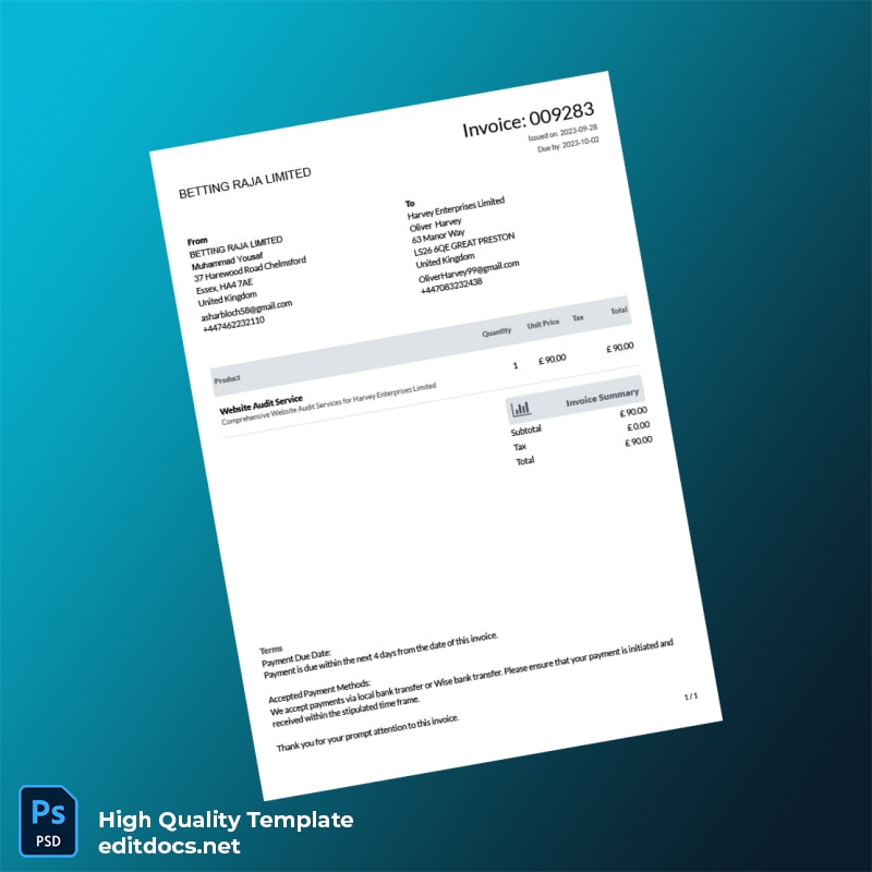 South Africa Bank Statement and Invoices Template in Word and PDF formats page 5