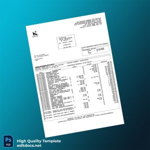 South Africa Nedbank Bank Statement Template in Word and PDF formats