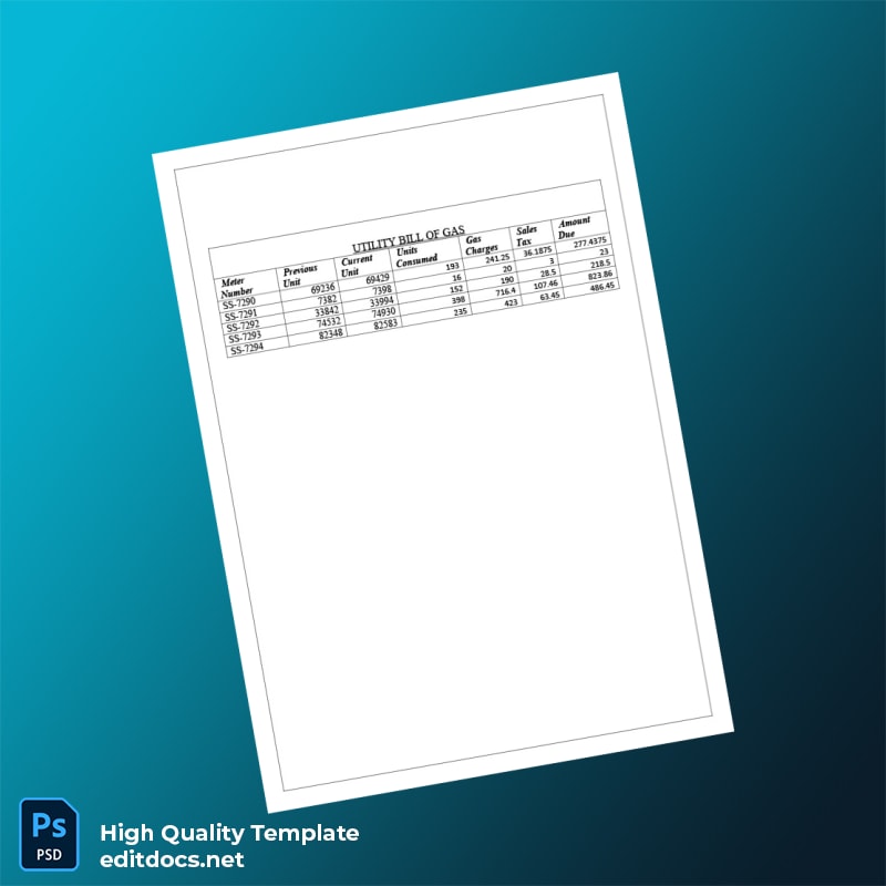 Sui Gas Editable Utility Bill Template in Word and PDF formats page 2