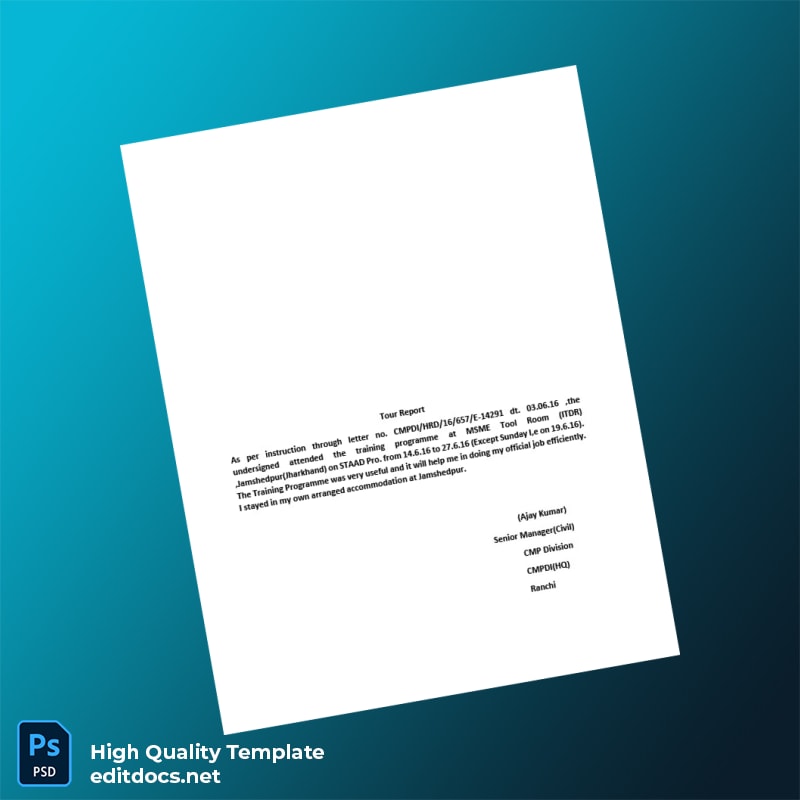 TRN BANK Editable Utility Bill Template in Word and PDF formats page 5