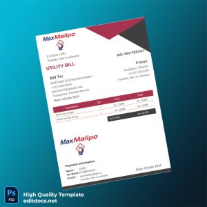 Tanzania Humphrey Charles Editable Utility Bill Template in Word and PDF formats