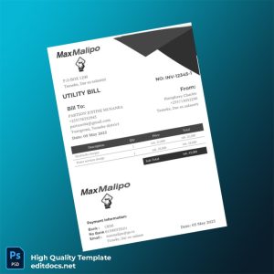 Tanzania MaxMalipo Editable Utility Bill Template in Word and PDF formats