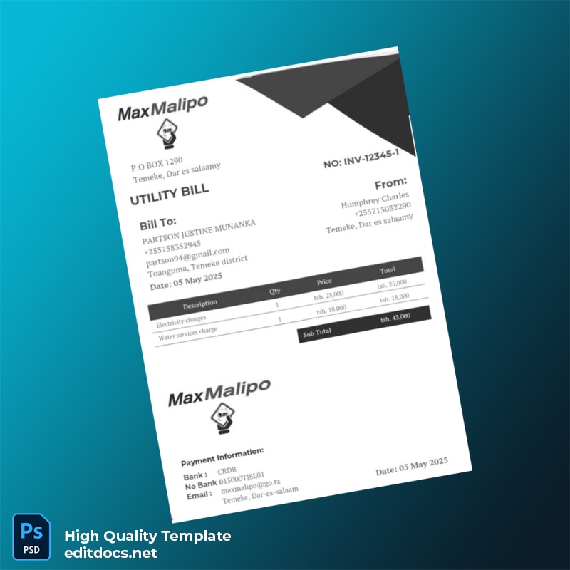 Tanzania MaxMalipo Editable Utility Bill Template in Word and PDF formats