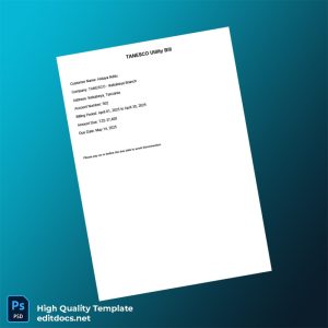 Tanzania TANESCO Editable Utility Bill Template in Word and PDF formats