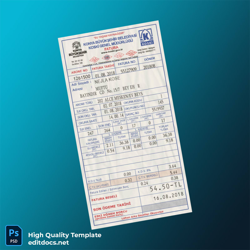 Turkey Unknown Editable Utility Bill Template in Word and PDF formats